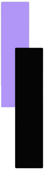 lavender-black-bars lavender-black-bars
